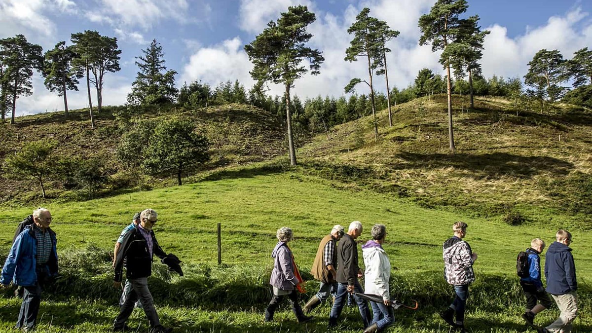 Til Hjemmesiden